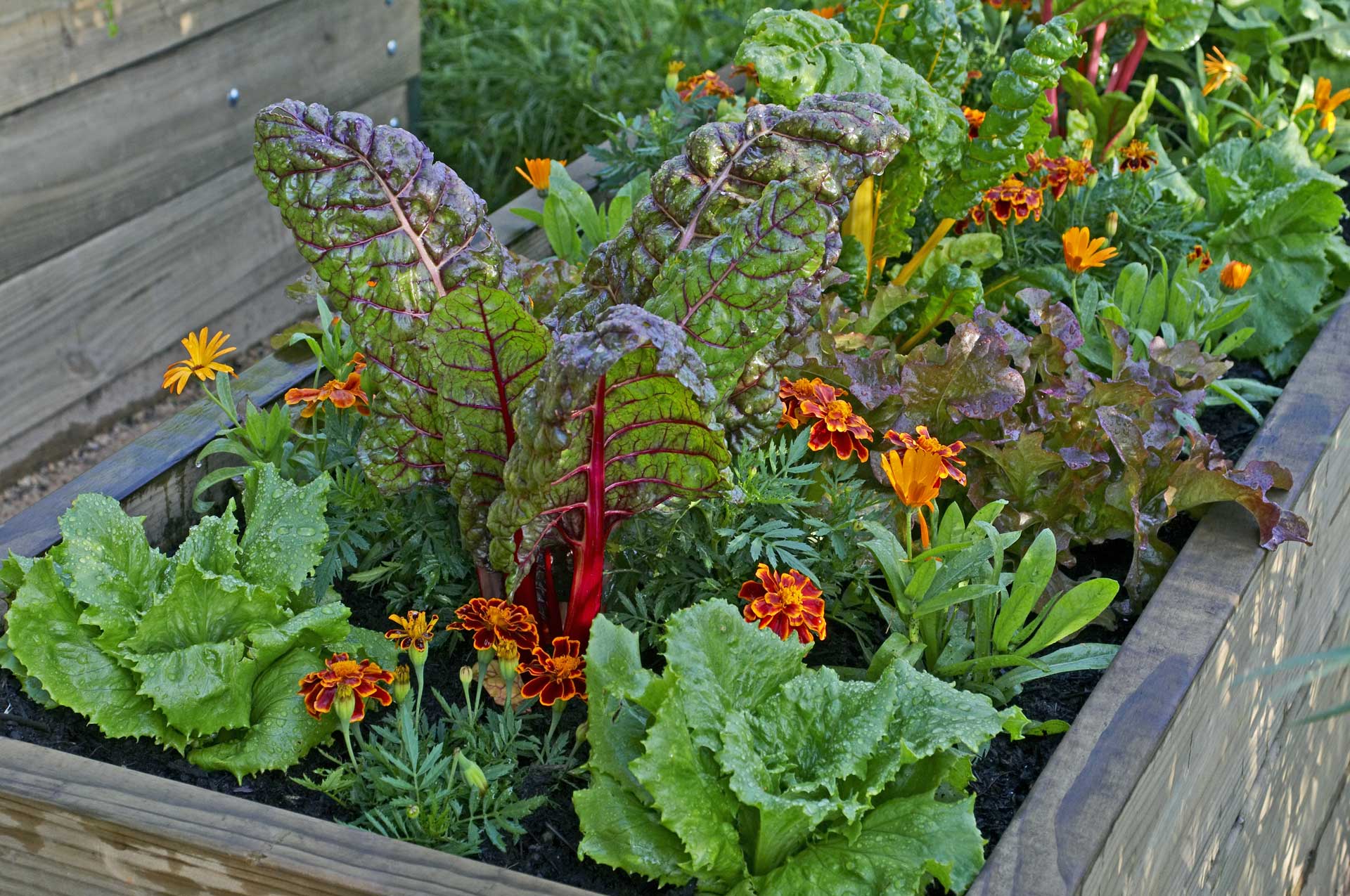 Smart Diy Gardening Ideas