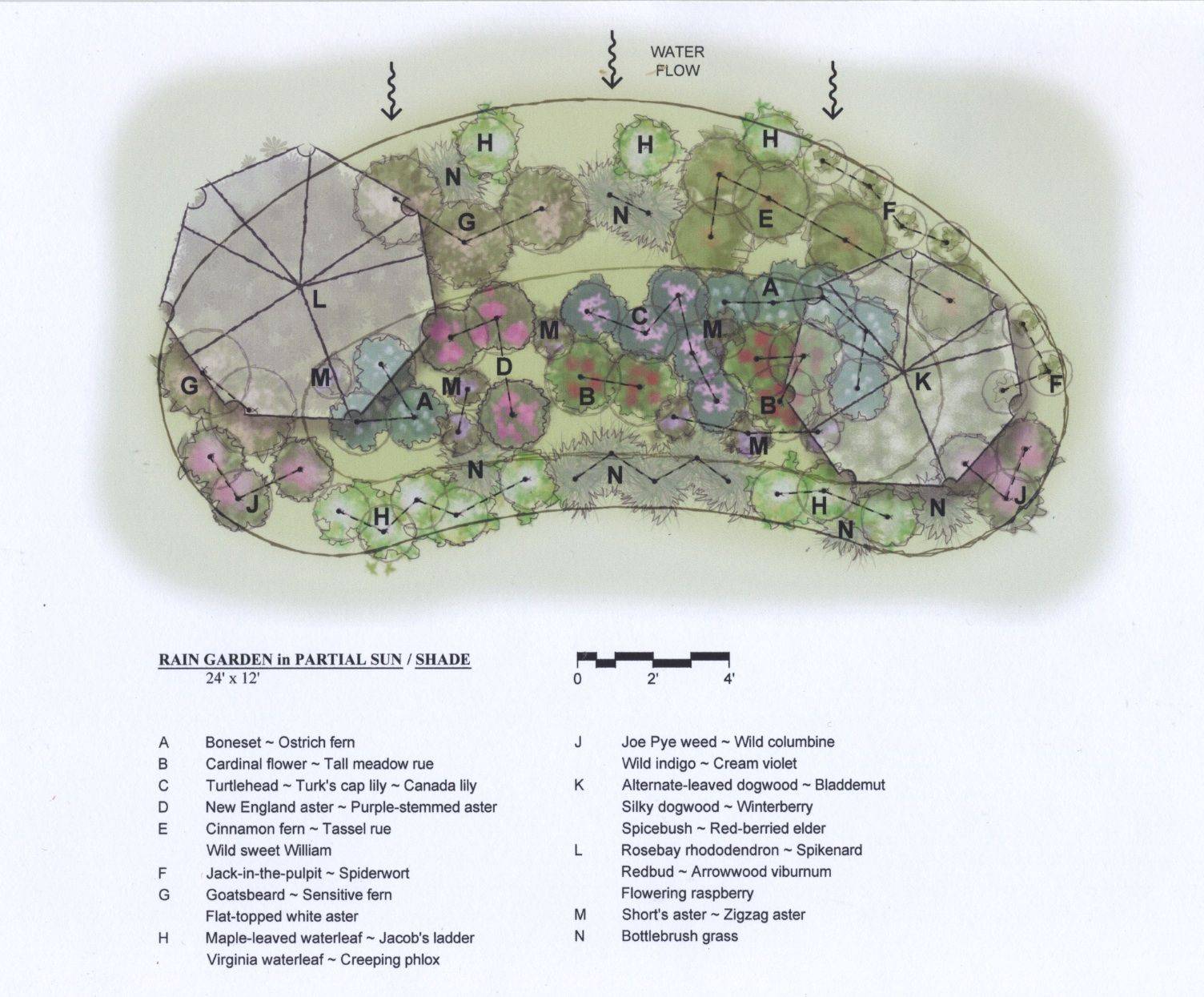 Partial Shade Garden Ideas Photograph