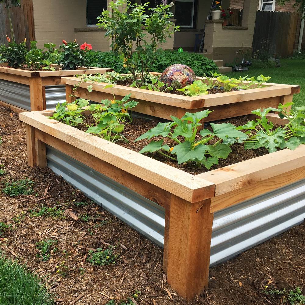 Advantageous Small Vegetable Garden Ideas