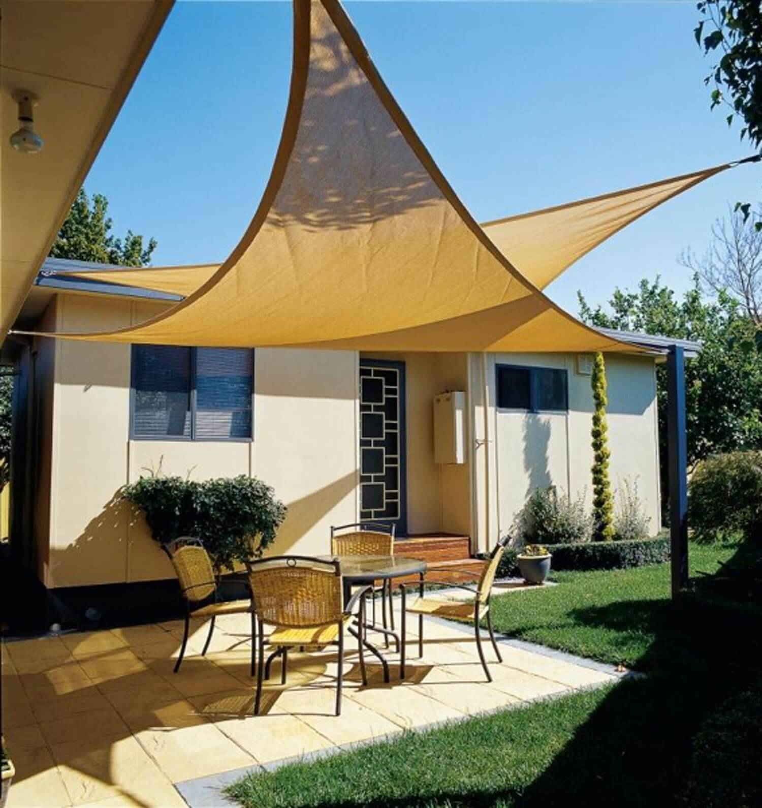 Your Backyard