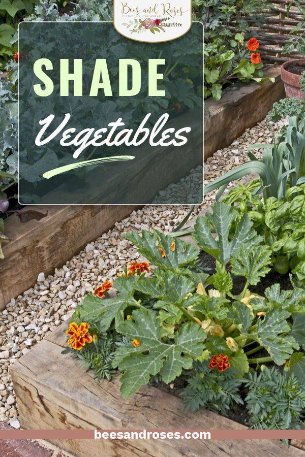 Backyard Vegetable Garden Design Ideas Shade Garden Design