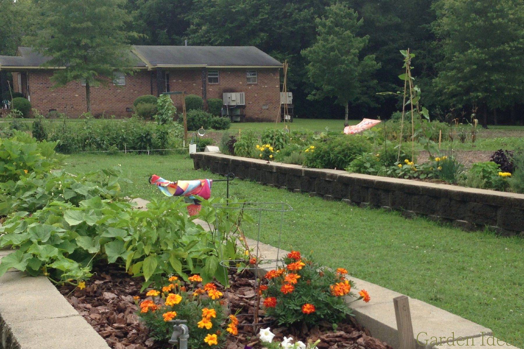 Fall Vegetable Garden Photo Landscape Design Pictures Cool Design