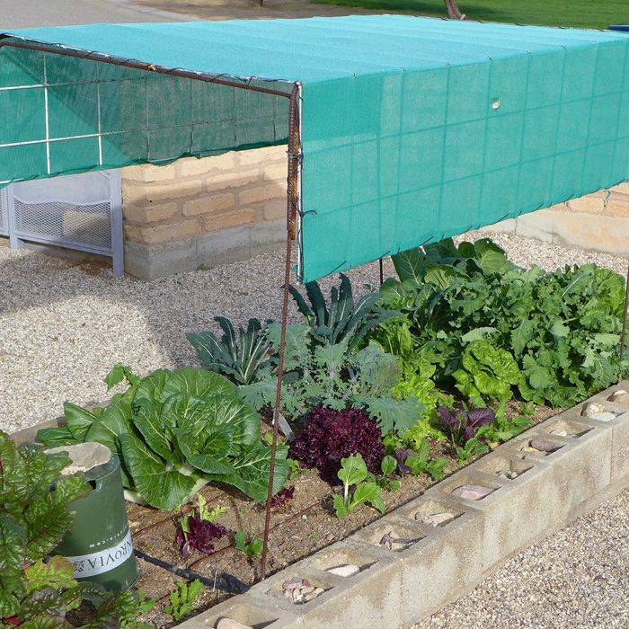 Full Shade Raised Vegetable Garden Bed