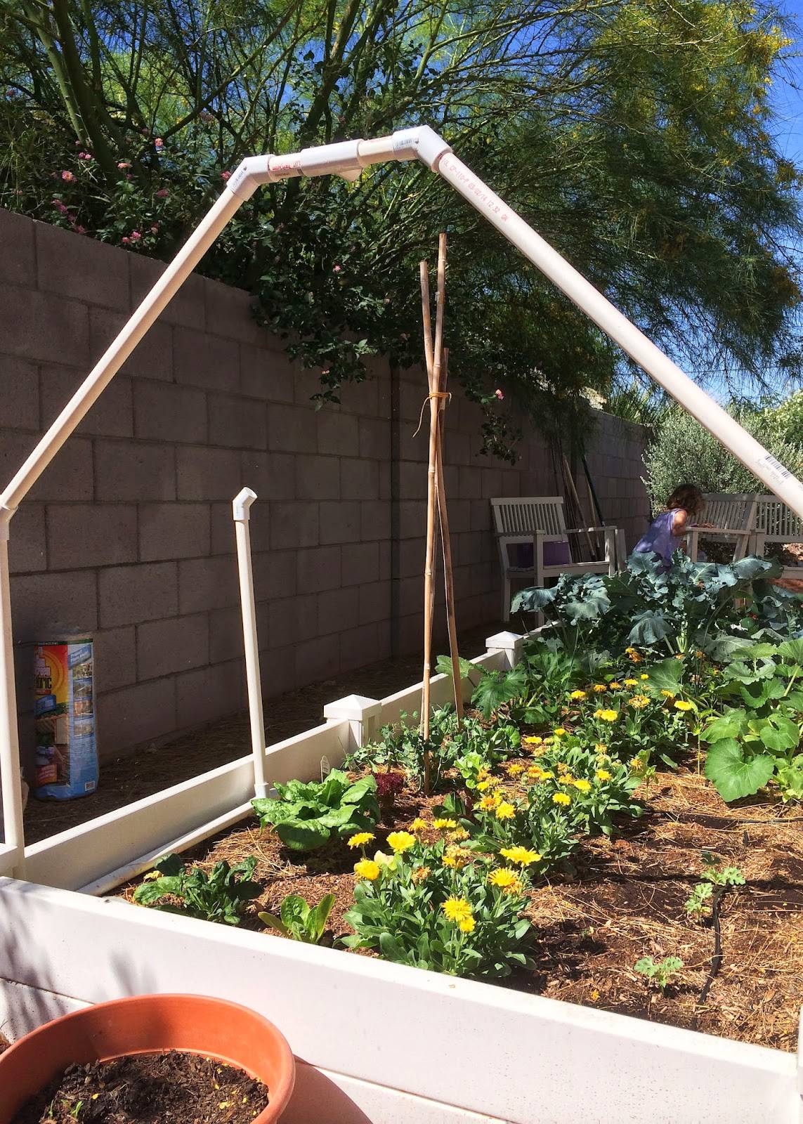 Shade Cloth Garden