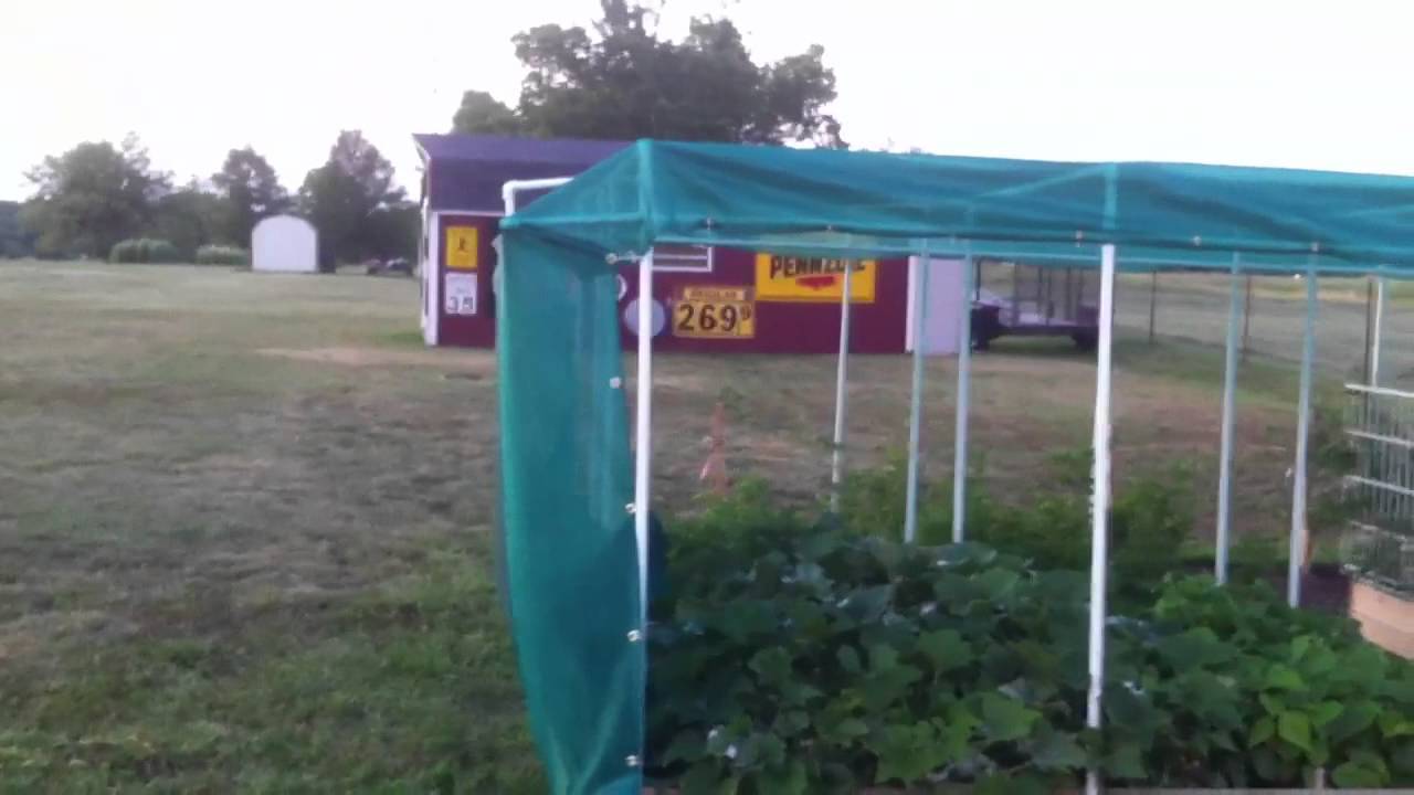 20 PVC Garden Shade Structure Ideas To Try This Year SharonSable