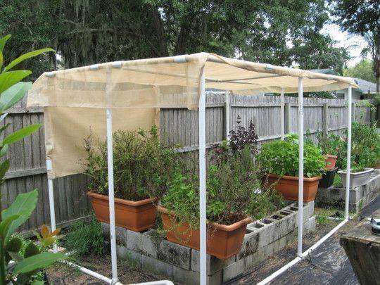 Bindu Bhatia Astrology