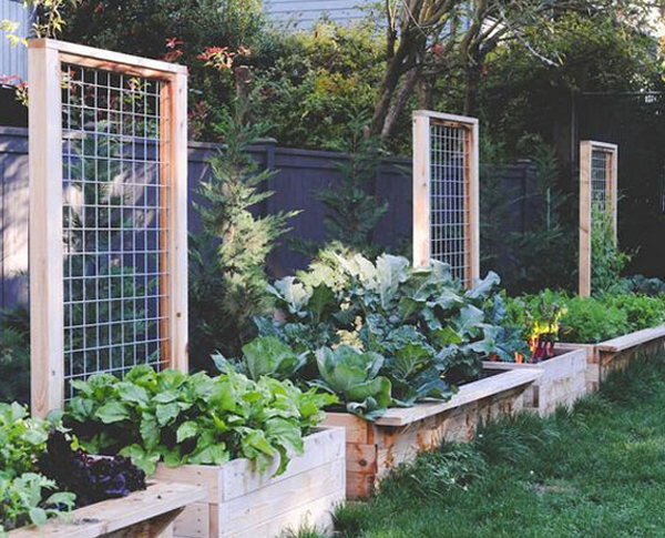Modern Garden Design Hardwood Screen Privacy Cedar Screen Trellis Fence