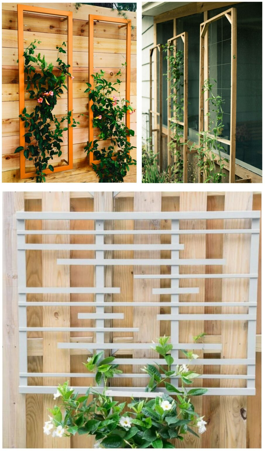 Custom Metal Trellis