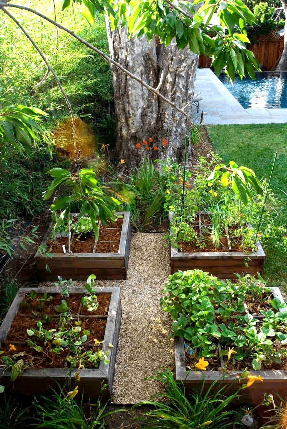 Different Community Garden Plot Designs