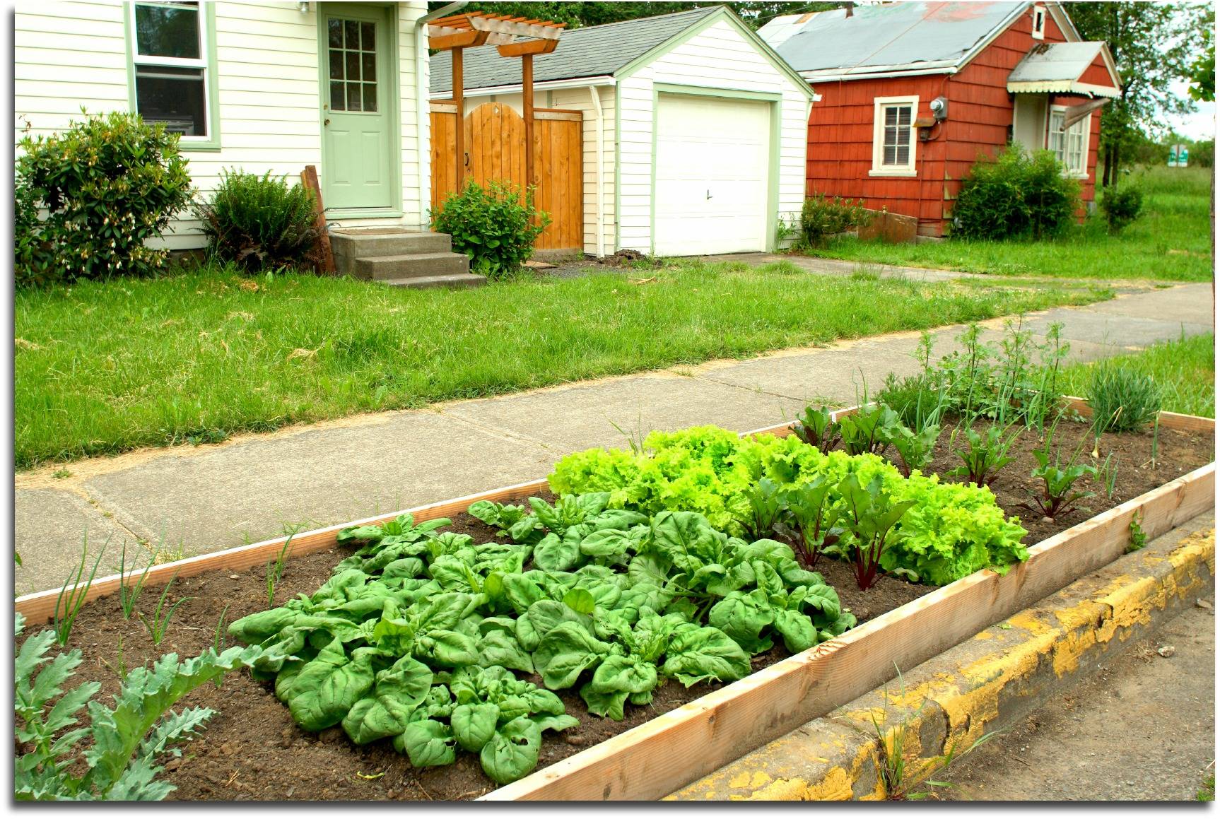 Different Community Garden Plot Designs