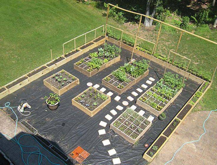 A Vegetable Garden Layout
