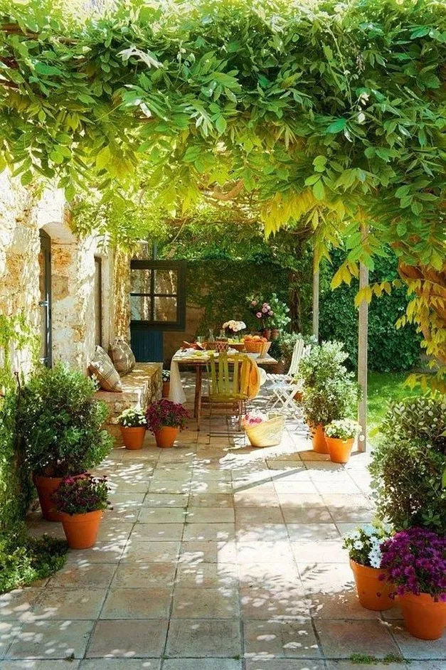 Ivy House Dream Garden