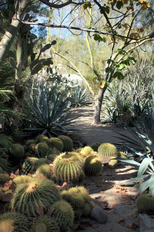 Midcentury Modern Garden Palm Springs Garden