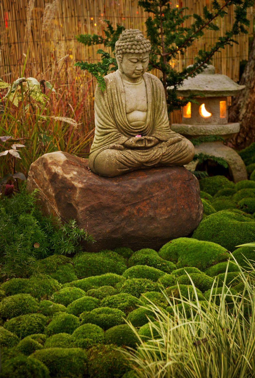 Buddha Garden