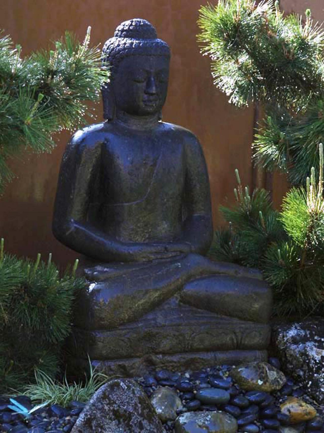 Your Cozy Home Buddha Garden
