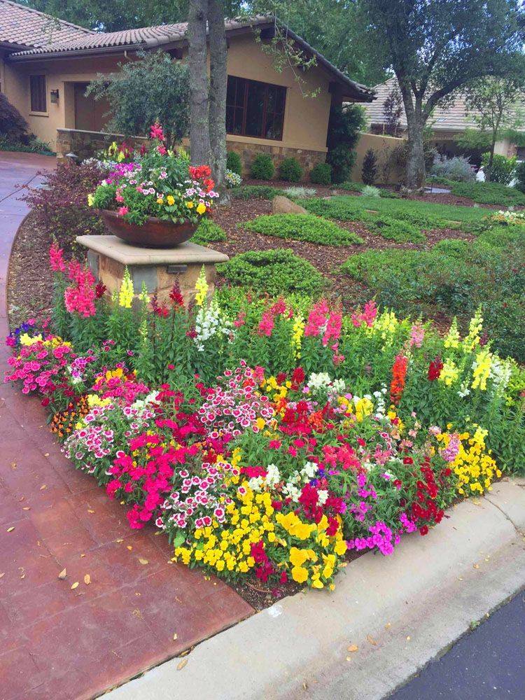 Yupo Small Flower Gardens