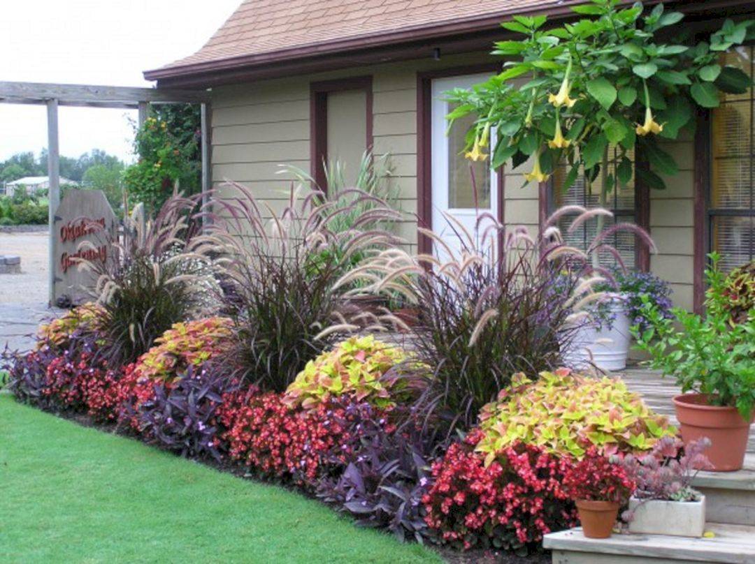 Front Yard Landscaping