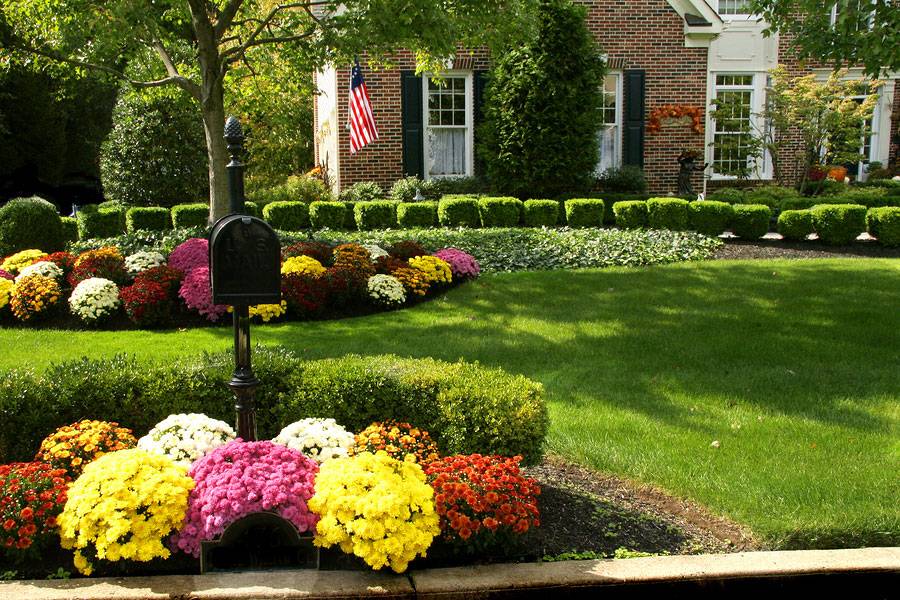 Low Maintenance Front Yard Landscaping Fall