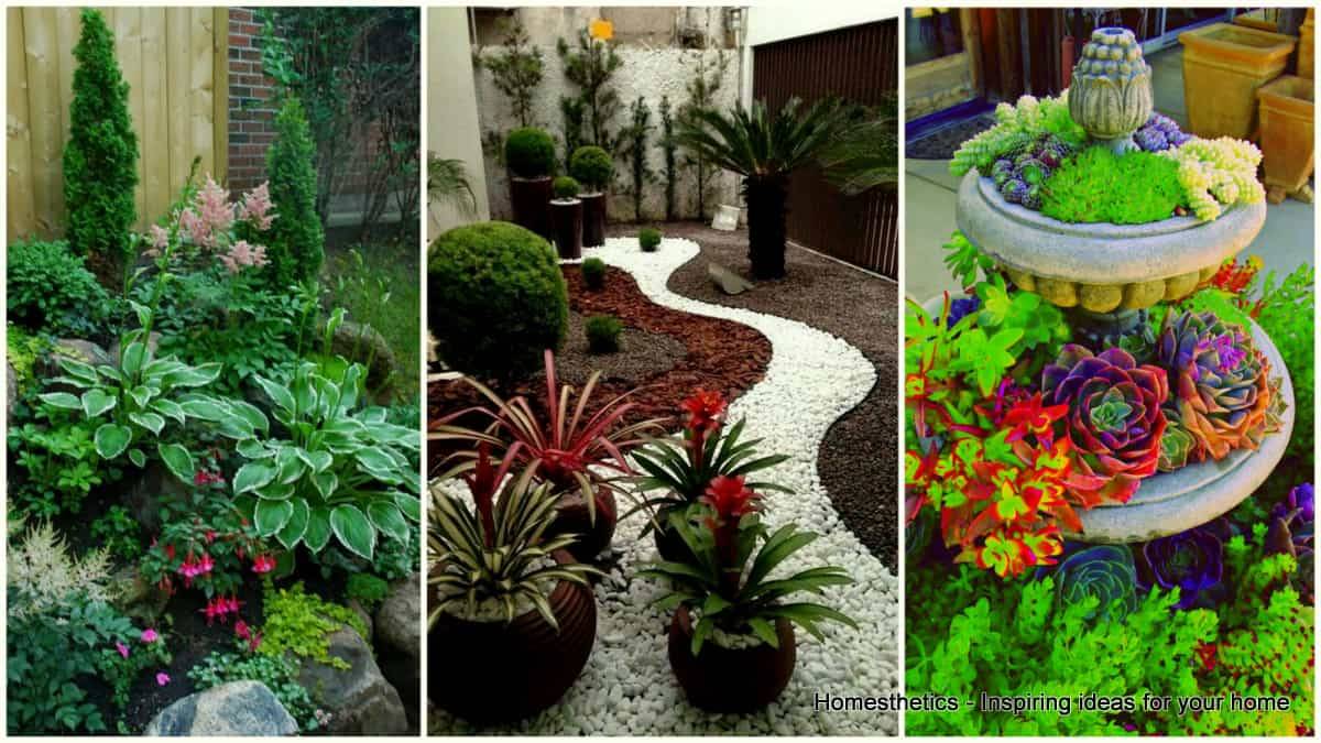 Low Maintenance Small Front Yard Landscaping Ideas