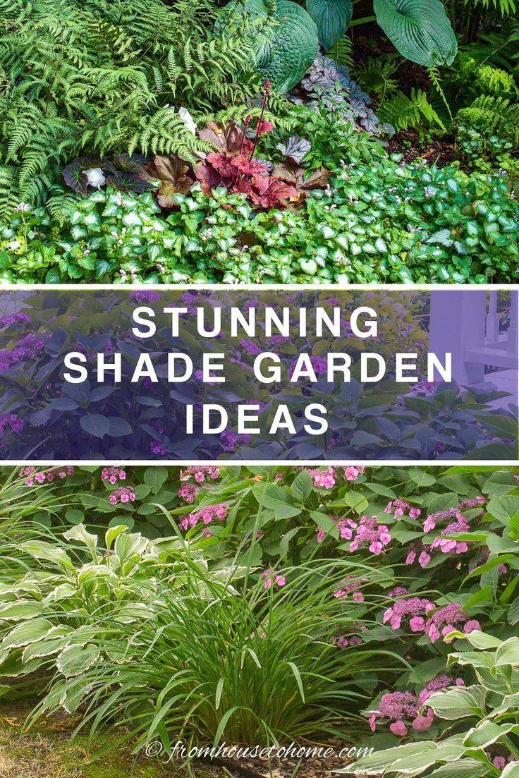 Fabulous Backyard Vegetable Garden Design Ideas