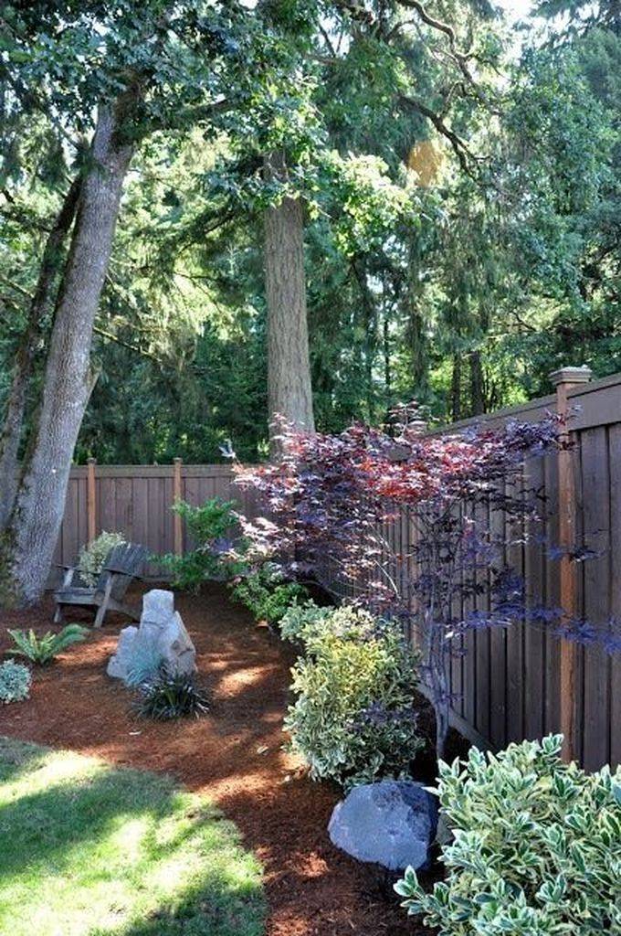 Shade Garden Ideas