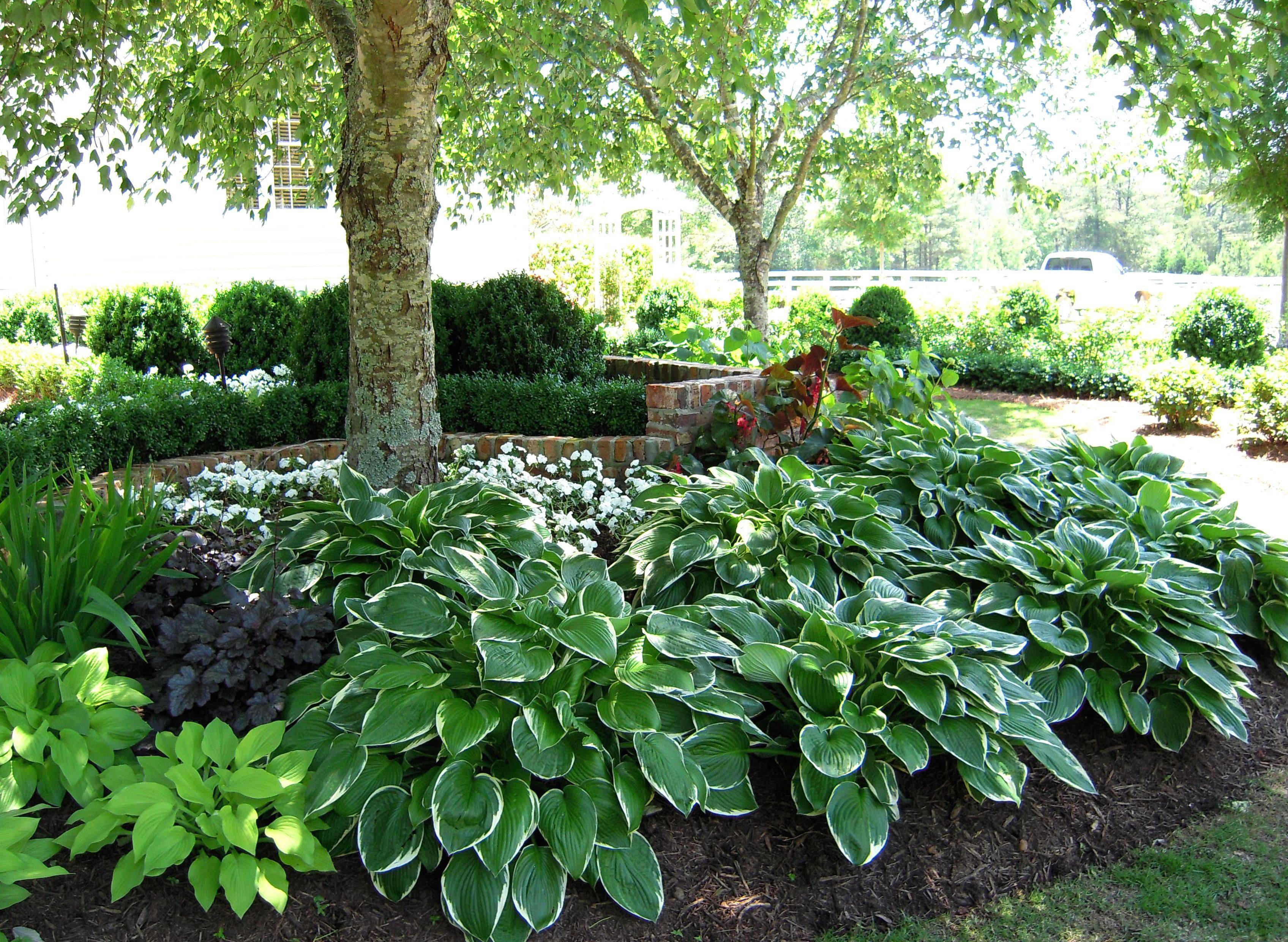 Gorgeous Landscaping Design Ideas