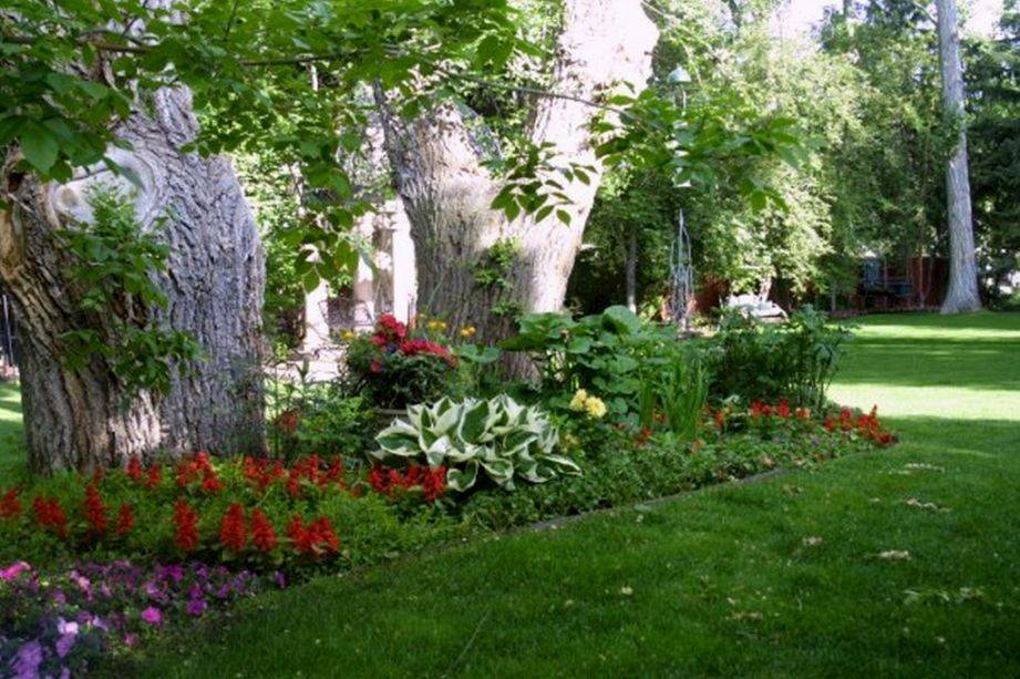 Beginner Garden