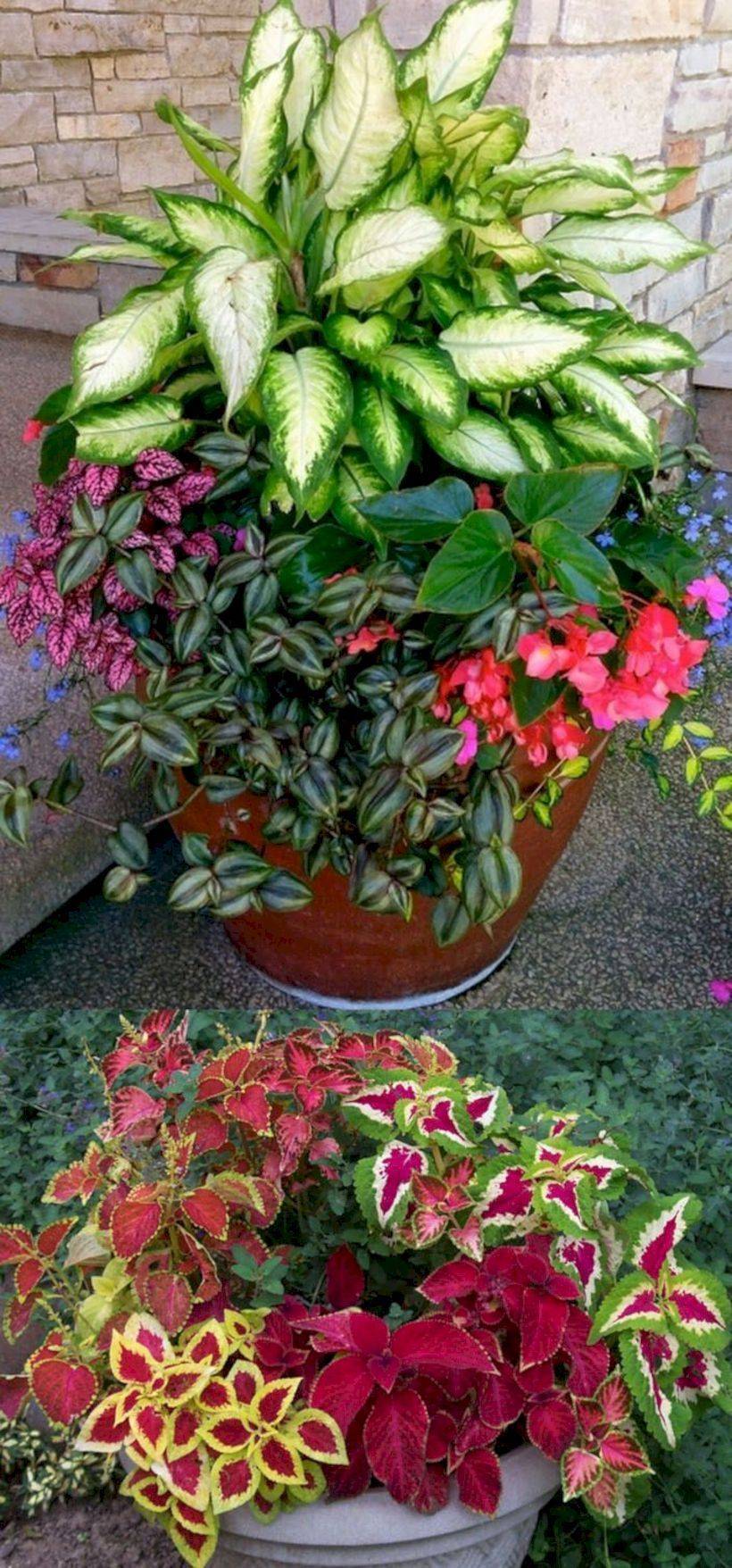 Tiny Garden Ideas