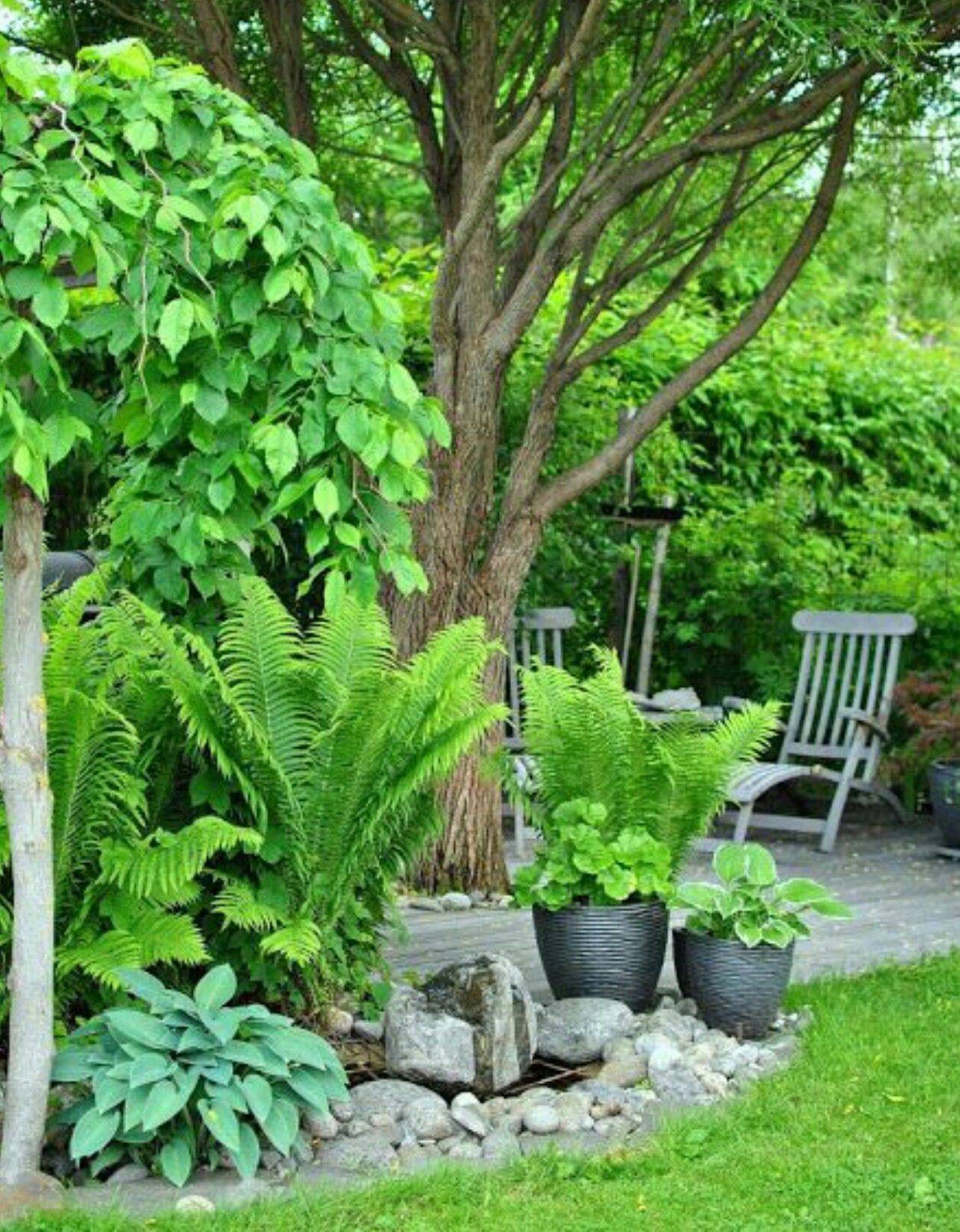 Nice Easy And Wonderful Landscaping Design Ideas
