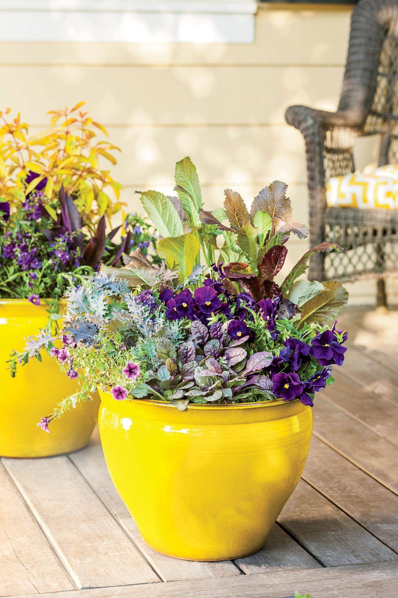 Beginners Acres Garden Center