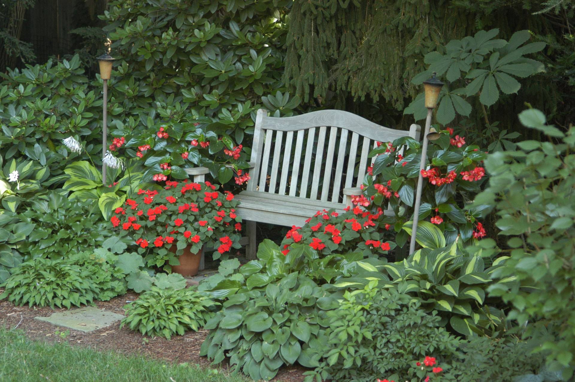 24 Beginner Shade Garden Plans Ideas You Cannot Miss SharonSable