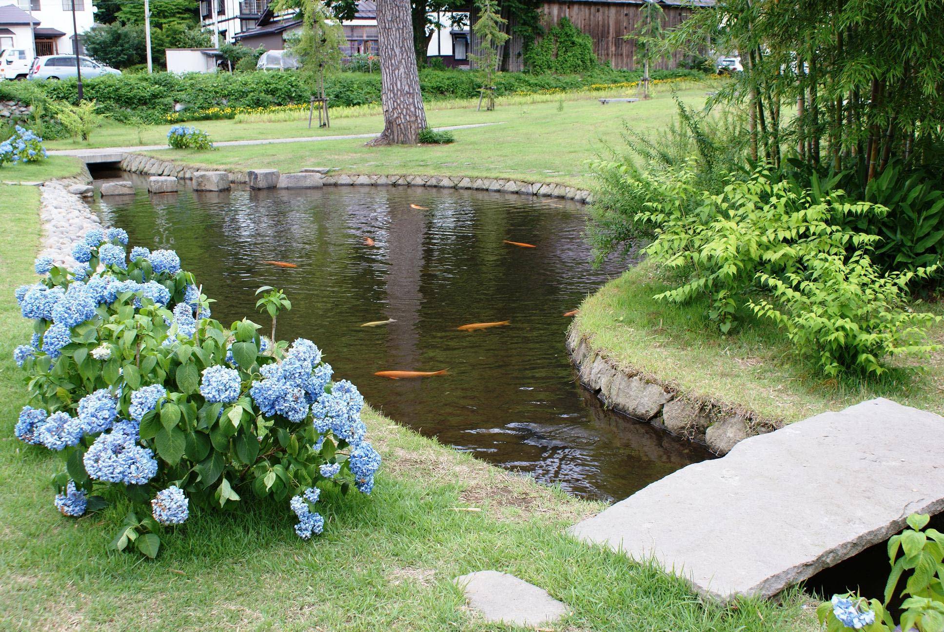Lovely Backyard Ponds Ideas