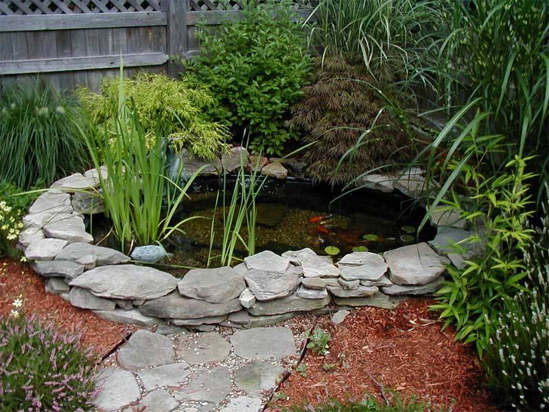 Diy Small Backyard Ponds