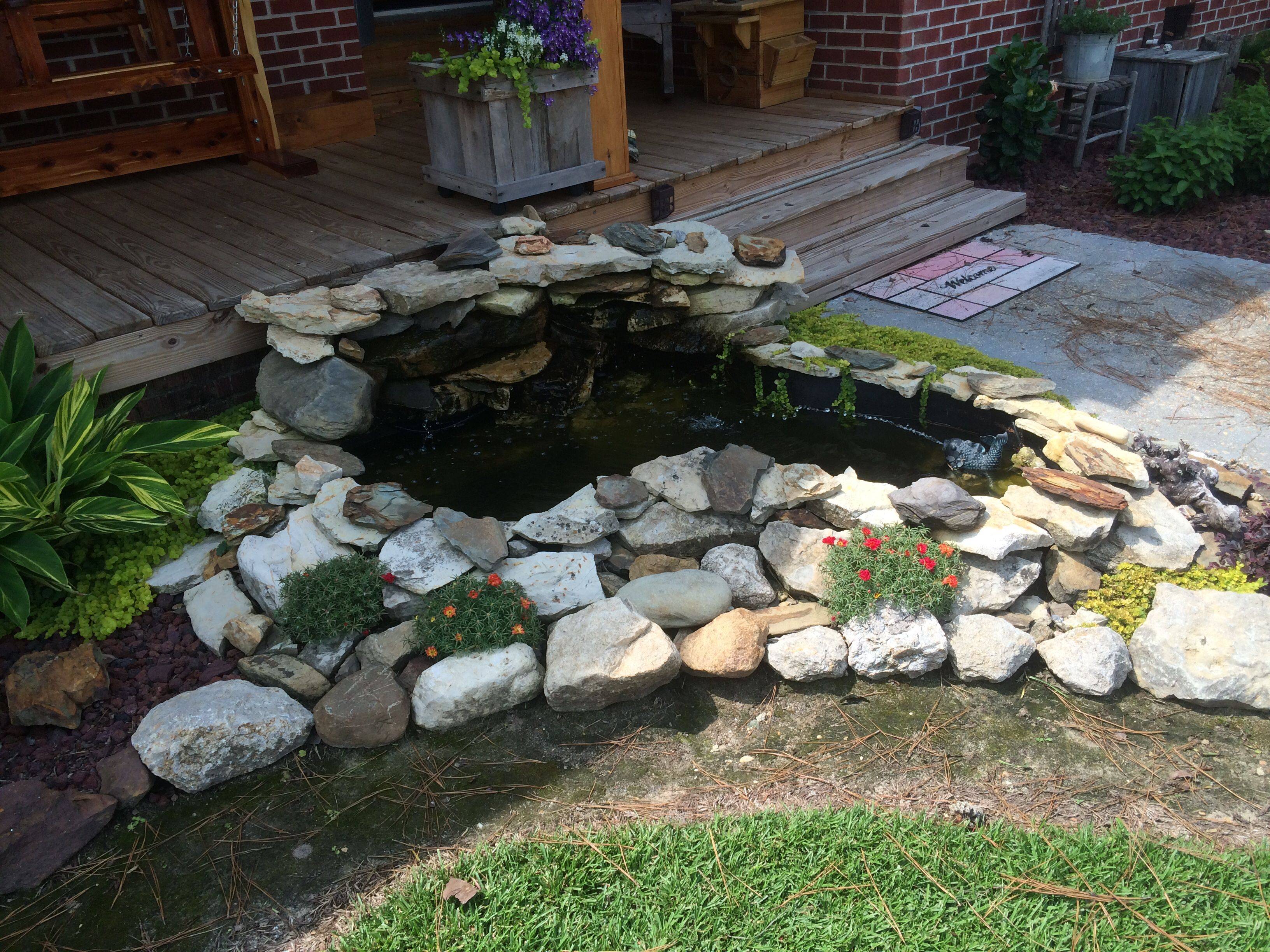 Above Ground Ponds Ideas