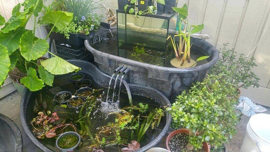 Portable Ponds Gardenorg