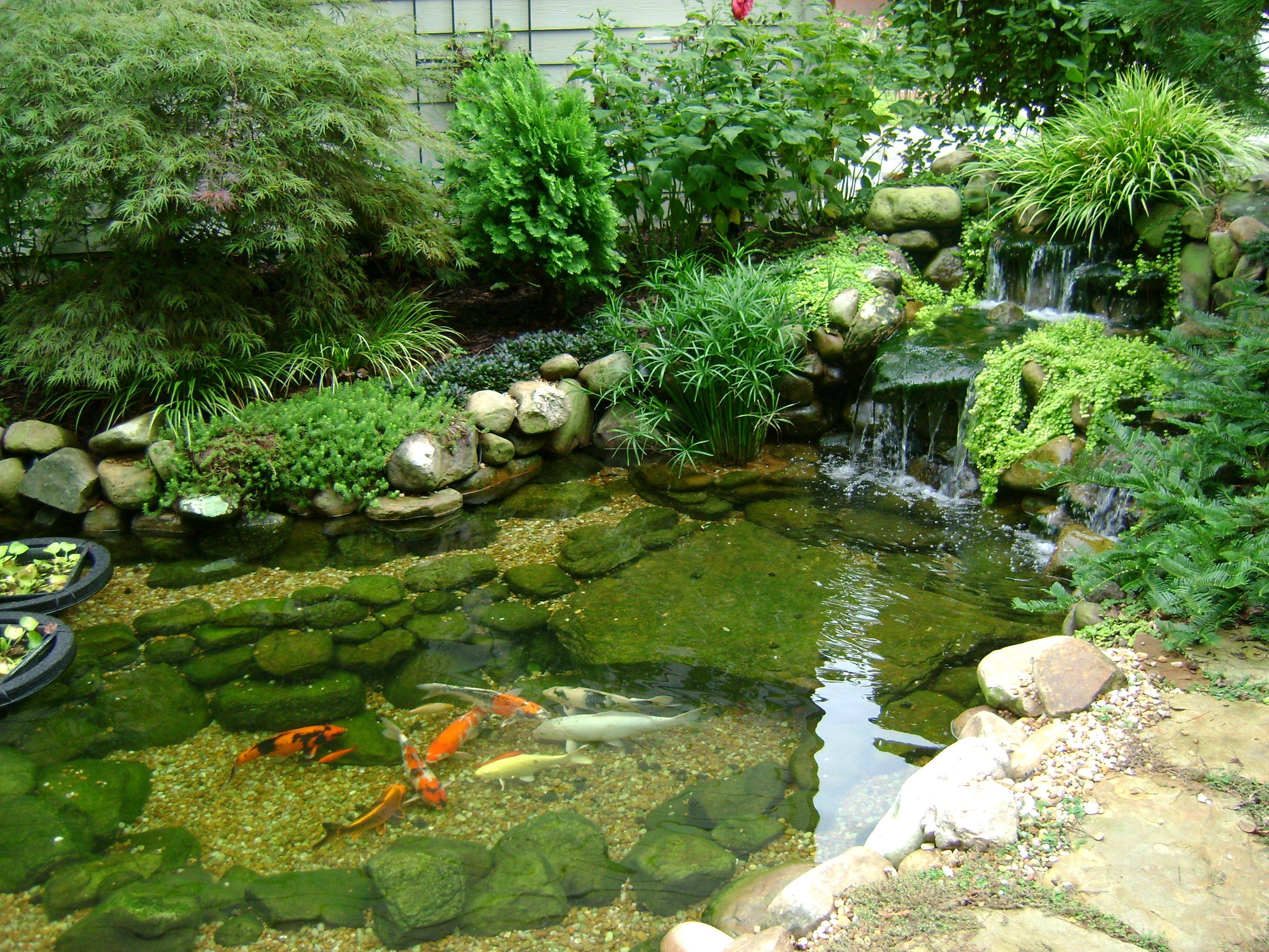 Small Patio Pond Creative Ideas Best