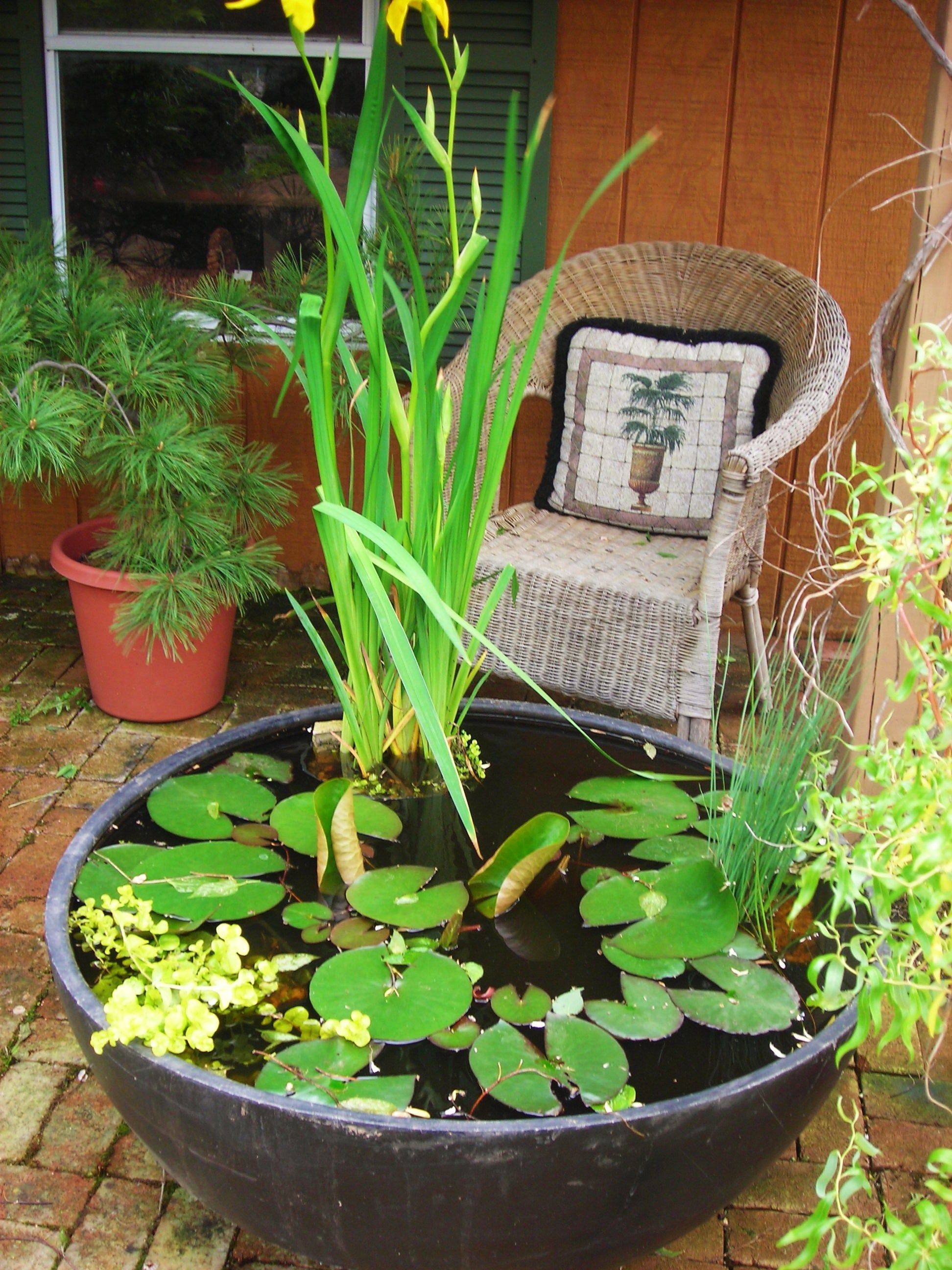 A Preformed Pond Liner