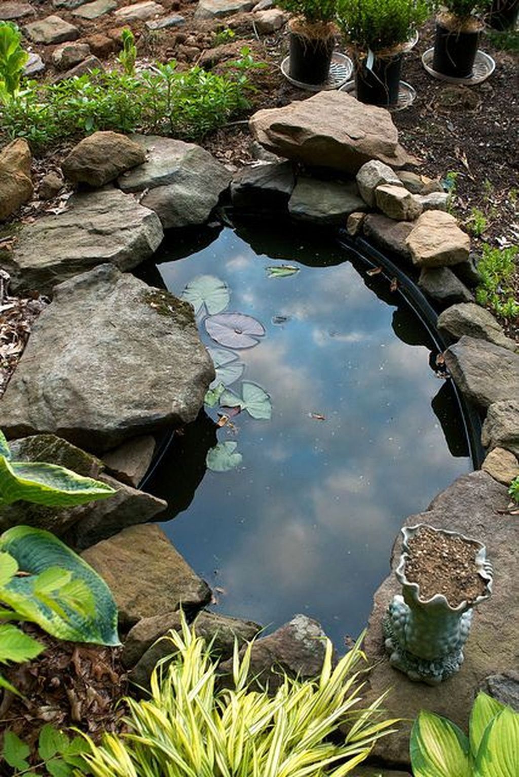 Pretty Inspiring Garden Pond