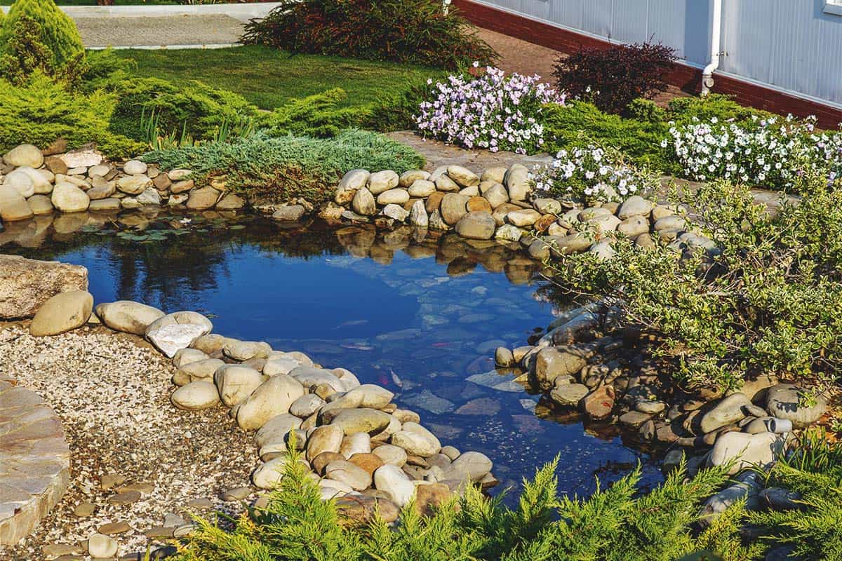 Cool Backyard Pond Design Ideas
