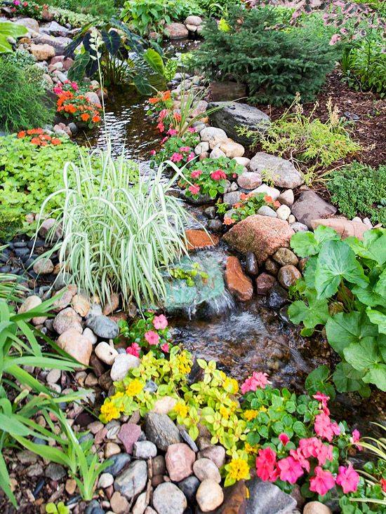 City Nursery Growing Tips Jolly Lane