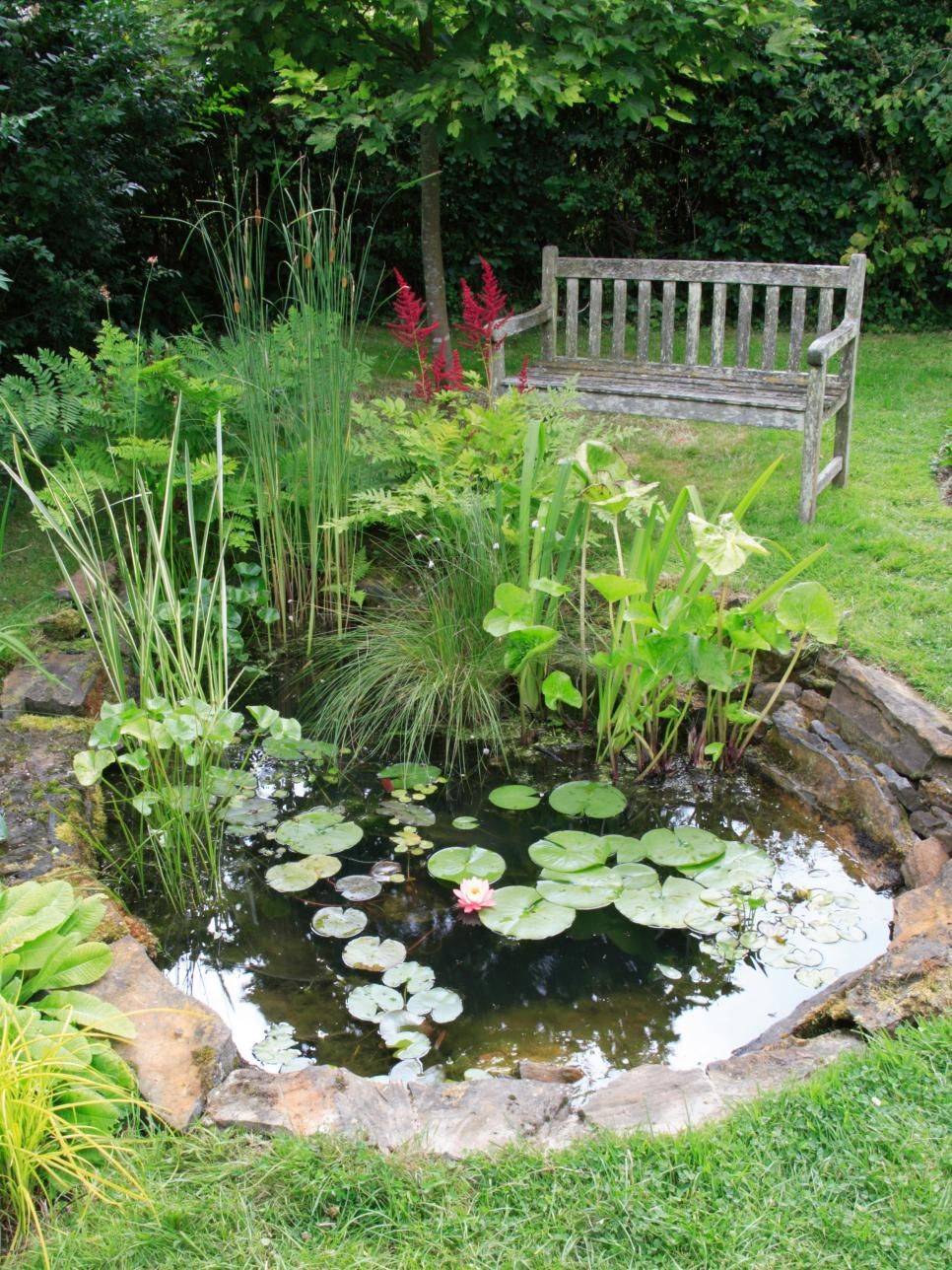 Most Amazing Landscaping Ideas