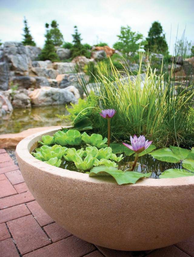 Indoor Water Garden