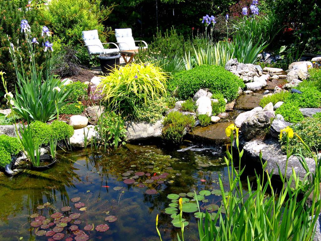 Garden Container Water Gardens