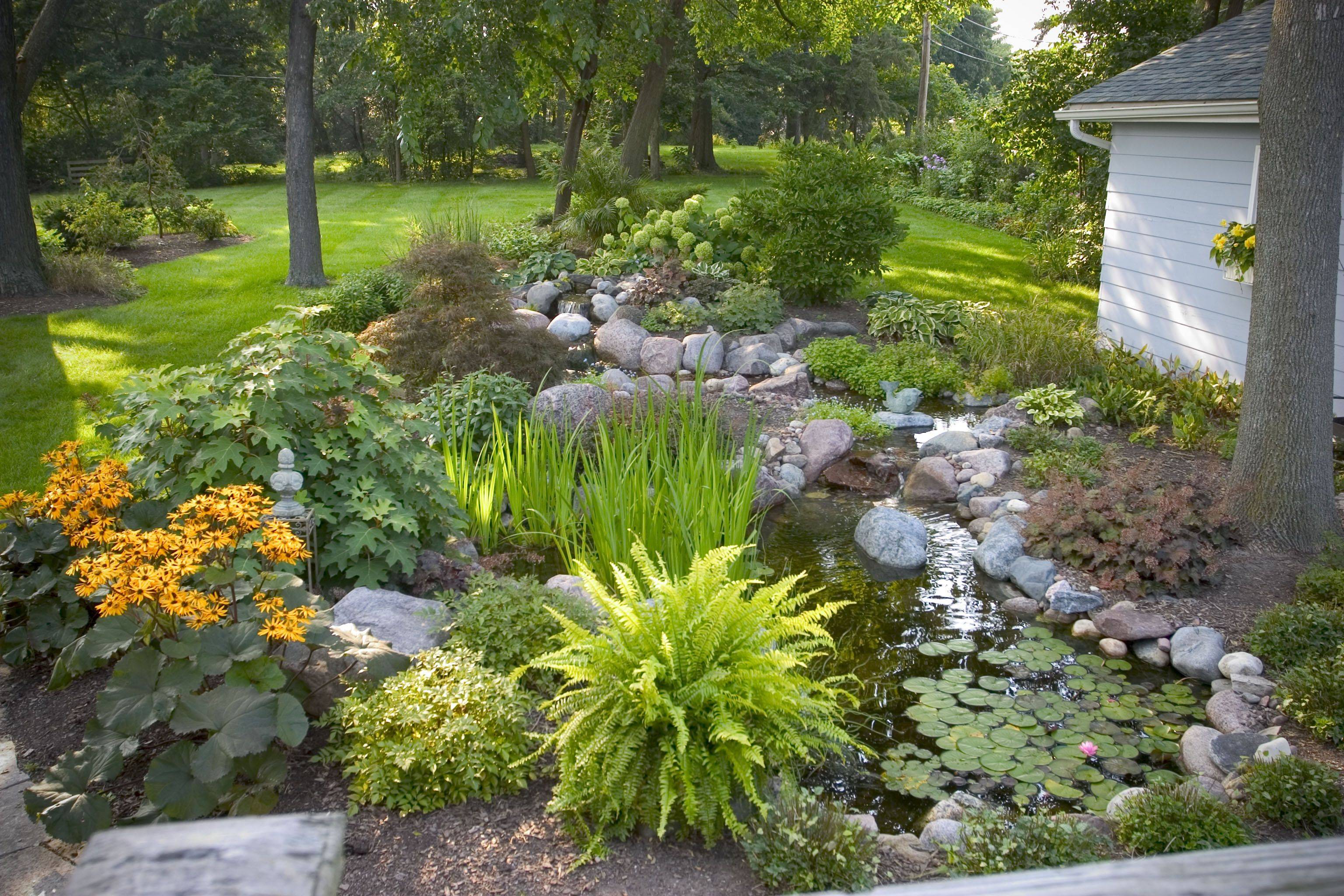 Gardening Ideas