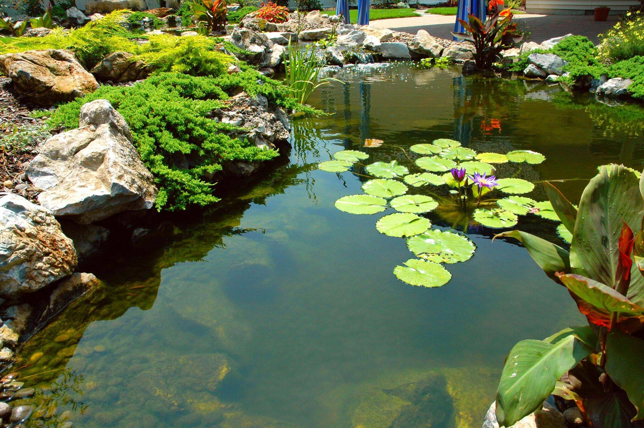 Search Viewer Small Water Gardens Ponds Backyard Water Features In