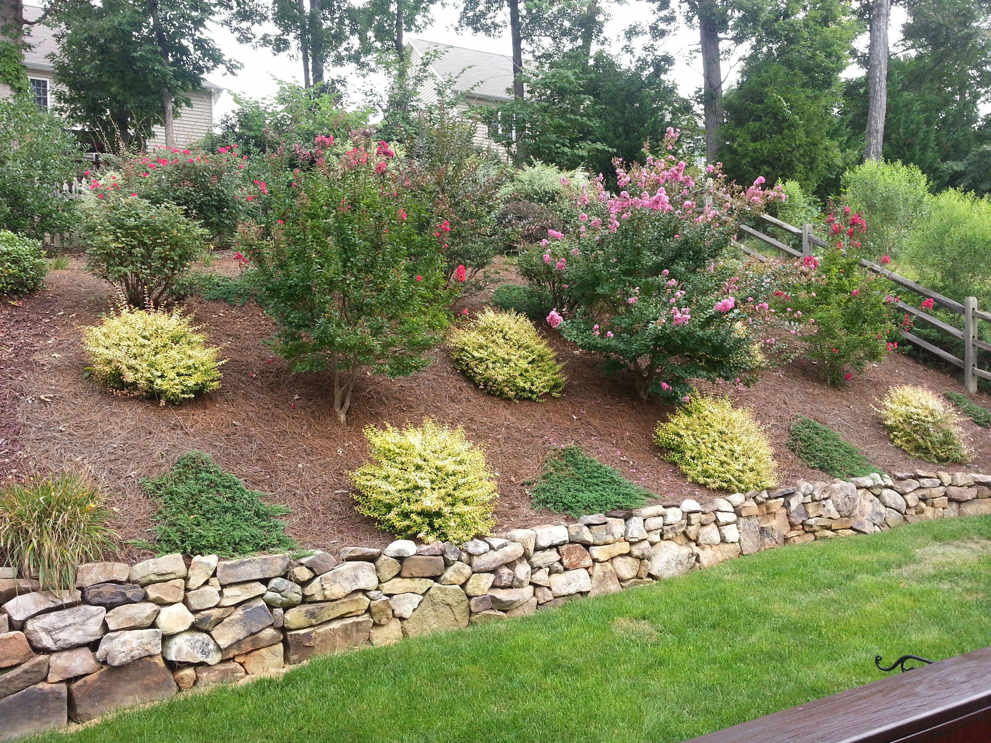 Hillside Landscape Hillside Landscaping