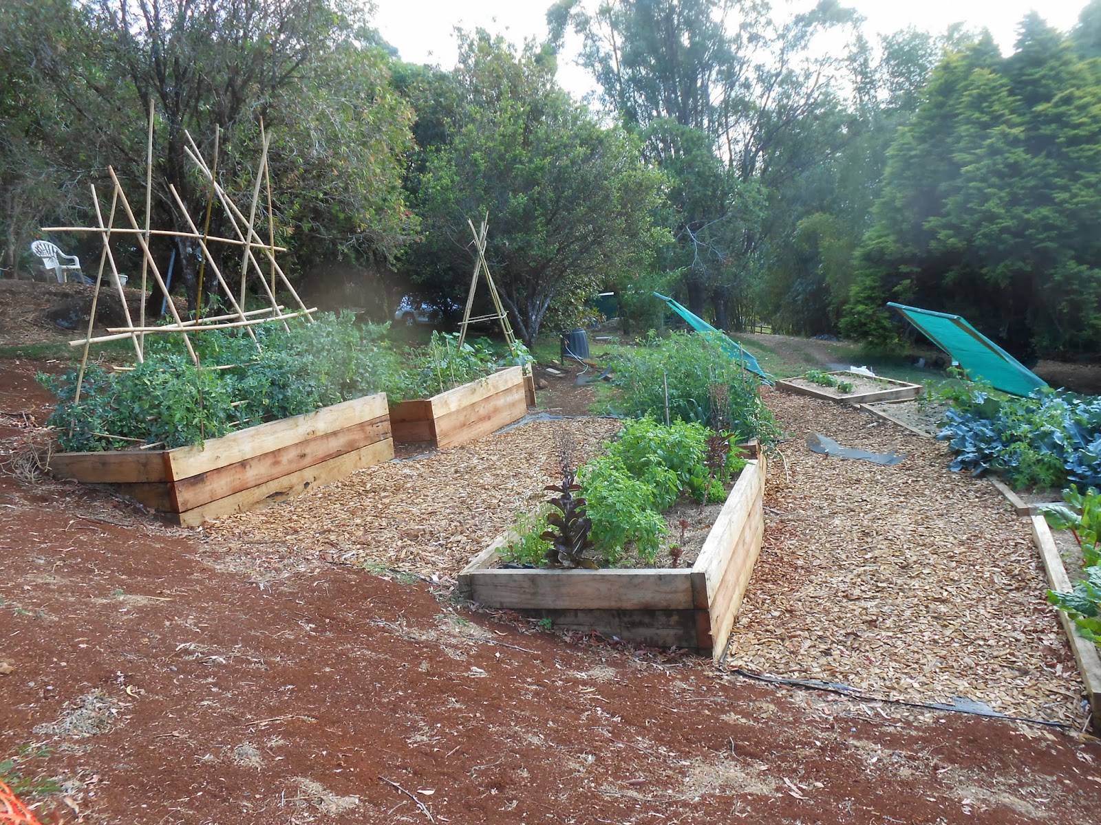 Photo Journal Hillside Landscaping Vol Terracing With Wood