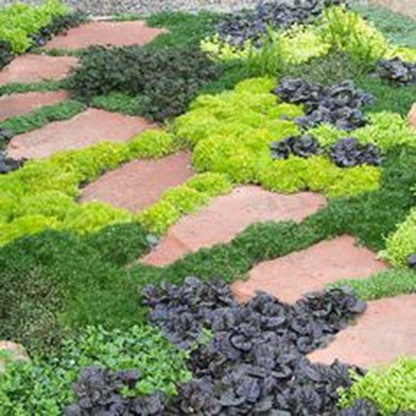 Garden Ground Cover Ideas John French Landscapes