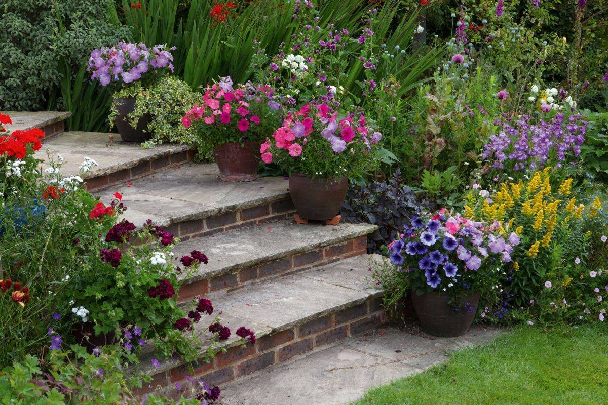 Pin On Landscaping Ideas