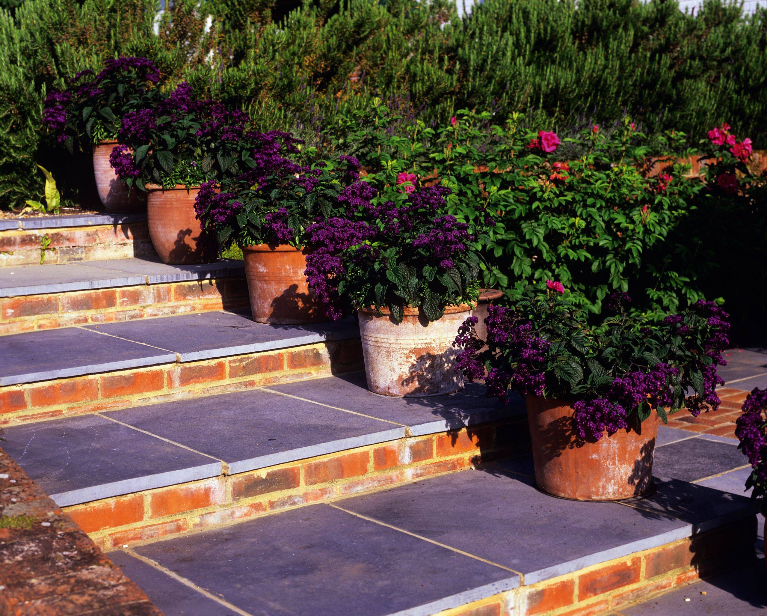 Sloping Gardens